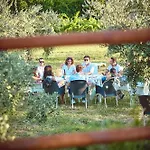 Ca Vendalis & Cantina Cinto Euganeo
