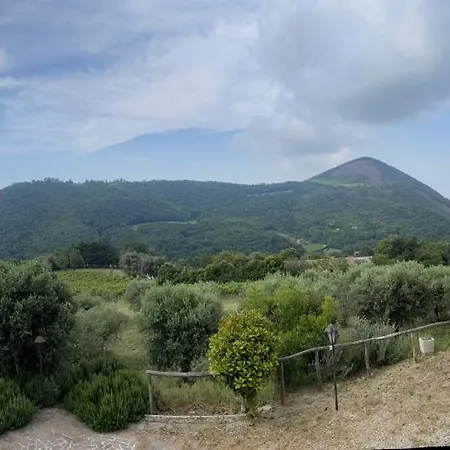 Ca Vendalis & Cantina Κατάλυμα σε φάρμα Cinto Euganeo