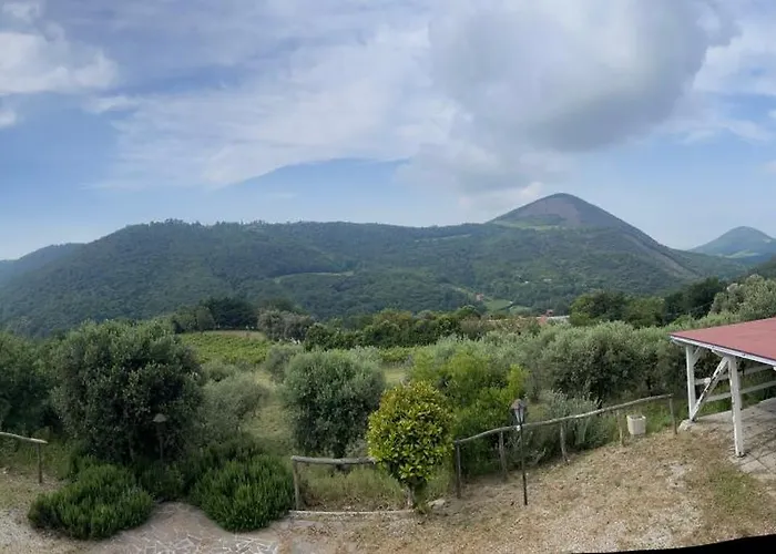 Ca Vendalis & Cantina Agroturismo Cinto Euganeo