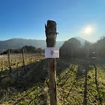 Ca Vendalis & Cantina * Cinto Euganeo