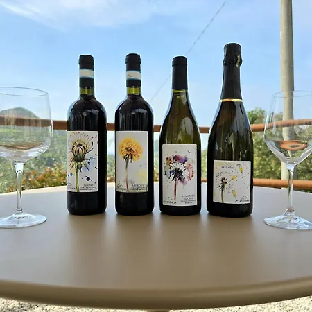 Ca Vendalis & Cantina * Cinto Euganeo