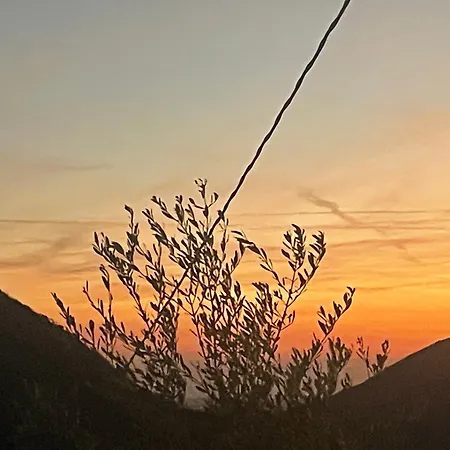 Ca Vendalis & Cantina Cinto Euganeo