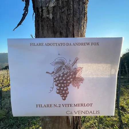 Ca Vendalis & Cantina Agroturismo Cinto Euganeo