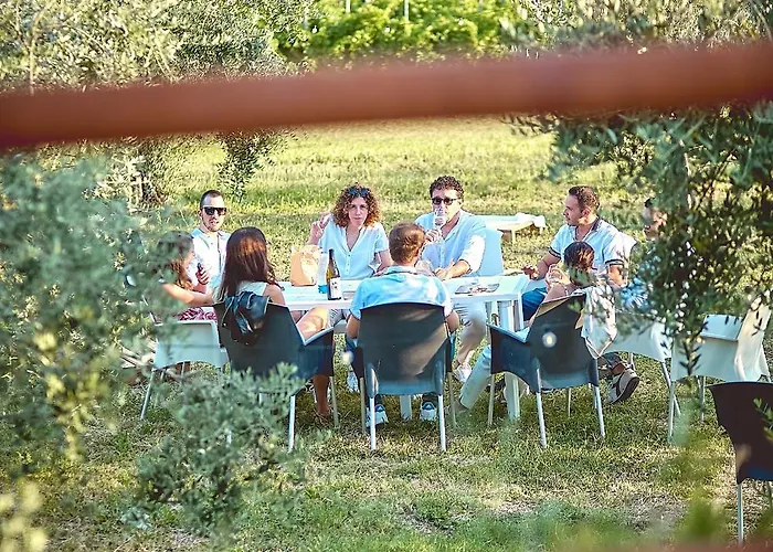 Ca Vendalis & Cantina Cinto Euganeo