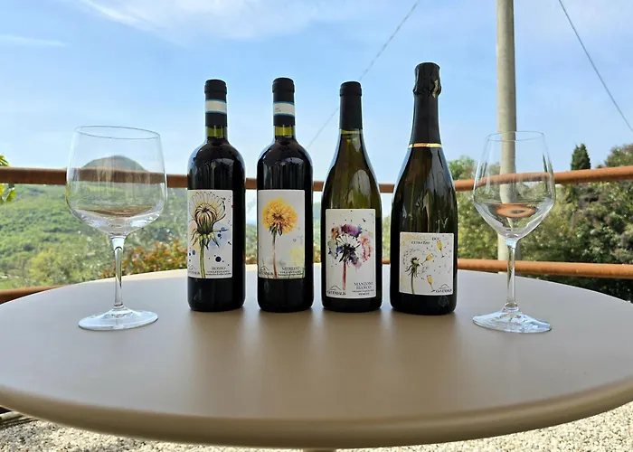 Ca Vendalis & Cantina * Cinto Euganeo