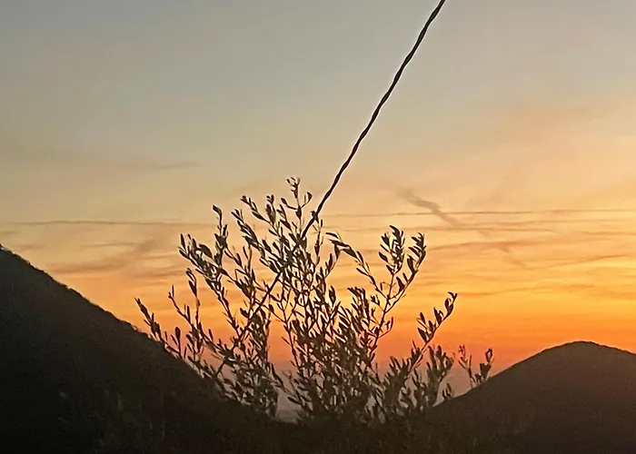 Ca Vendalis & Cantina Cinto Euganeo