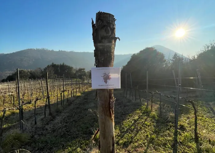 Ca Vendalis & Cantina * Cinto Euganeo